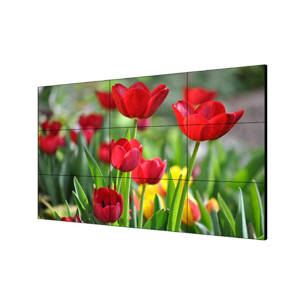 LCD monitor Hikvision DS-D2055LU-Y