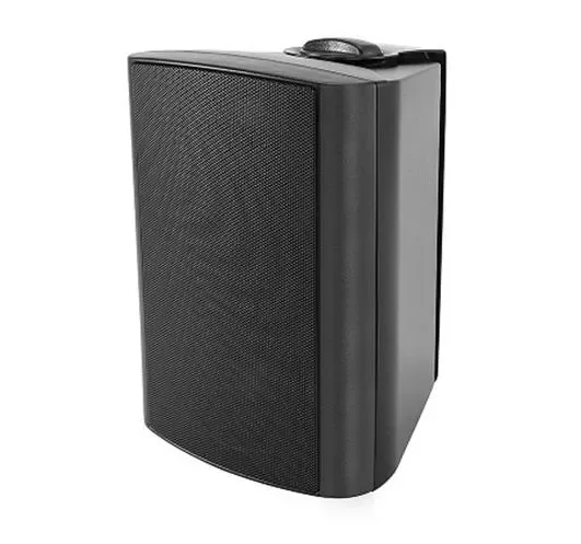 Динамик настенный 20W черный WS-314A