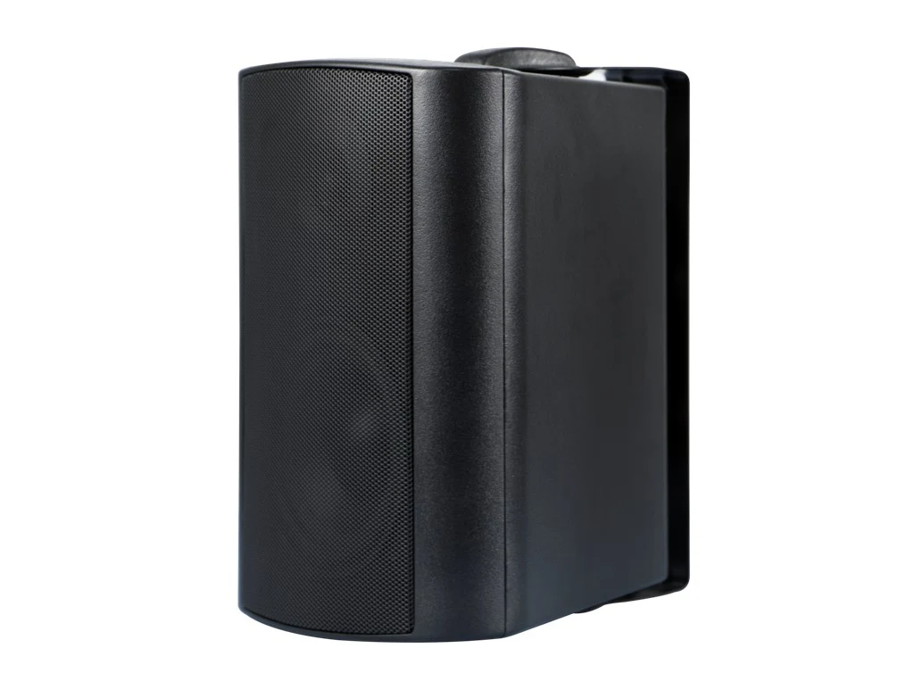 Динамик настенный 20W черный WS-314A