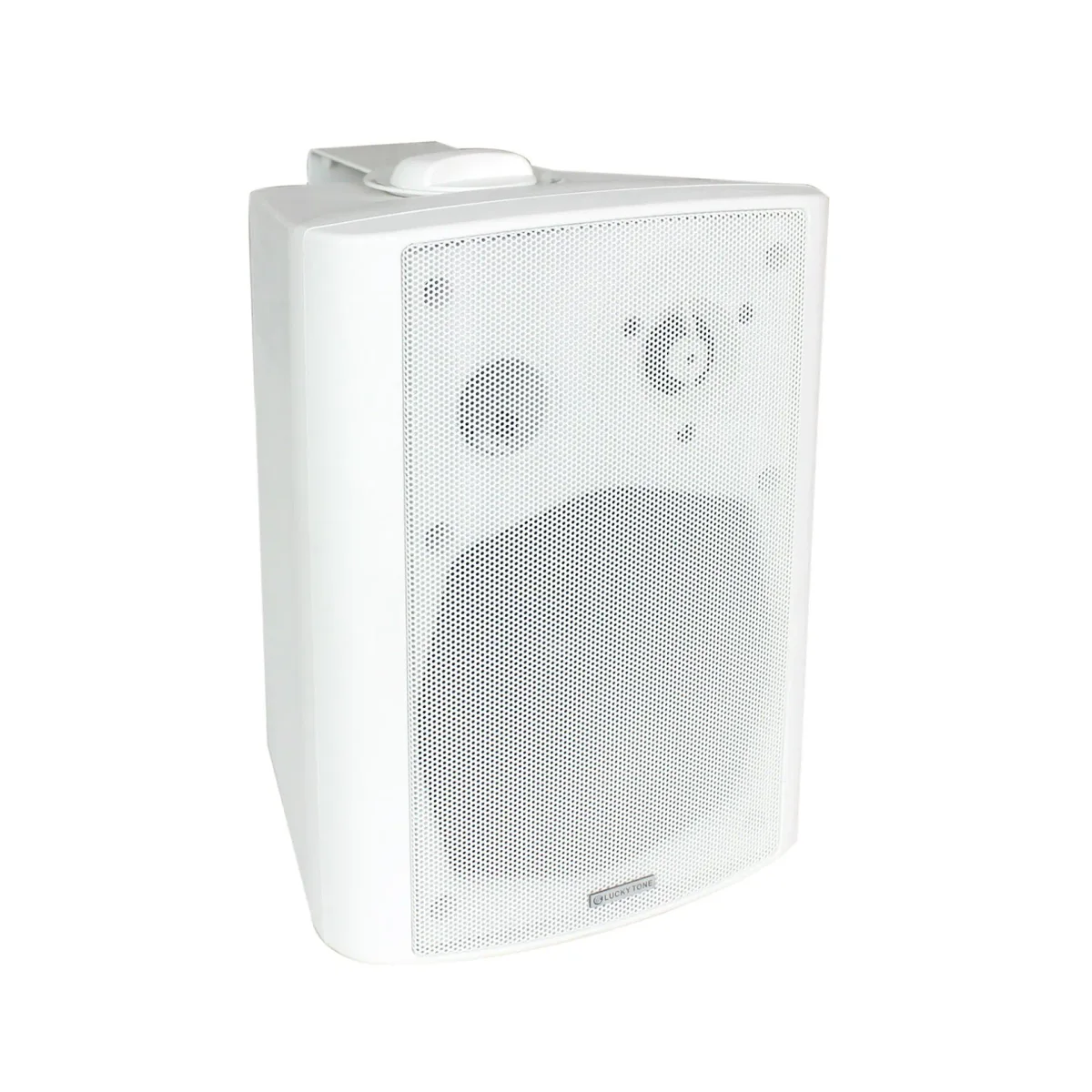 Wall speaker 20W WS-07
